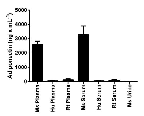 Adiponectin Mouse ELISA 